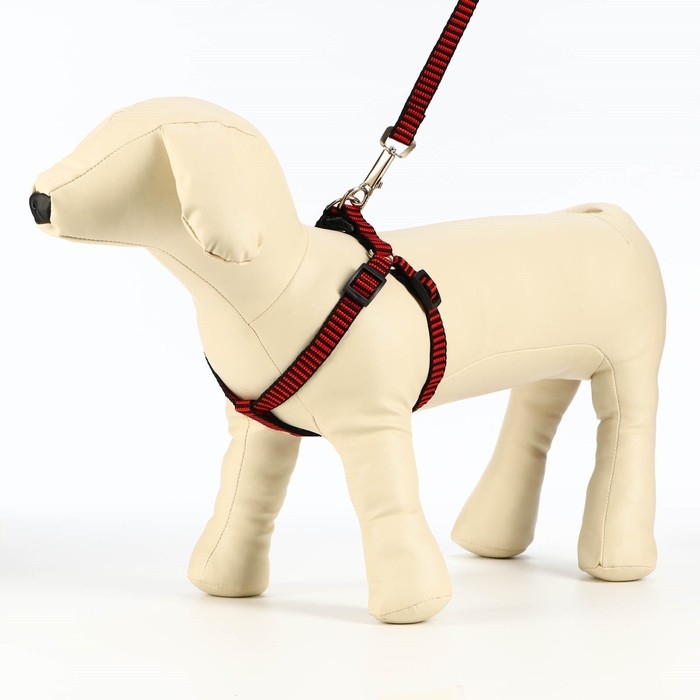 Комплект амуниции рельефный, 1,5 см, шлейка 36-49 см, поводок 120 см, красно-чёрный Комплект амуниции рельефный, 1,5 см, шлейка 36-49 см, поводок 120 см, красно-чёрный