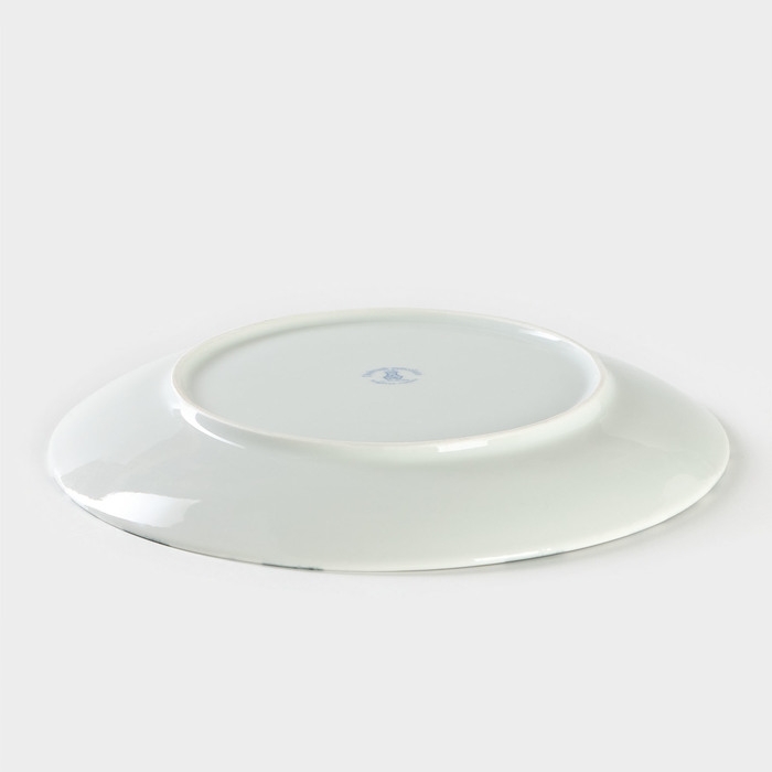 Тарелка фарфоровая &laquo;Витраж&raquo;, d=24 см