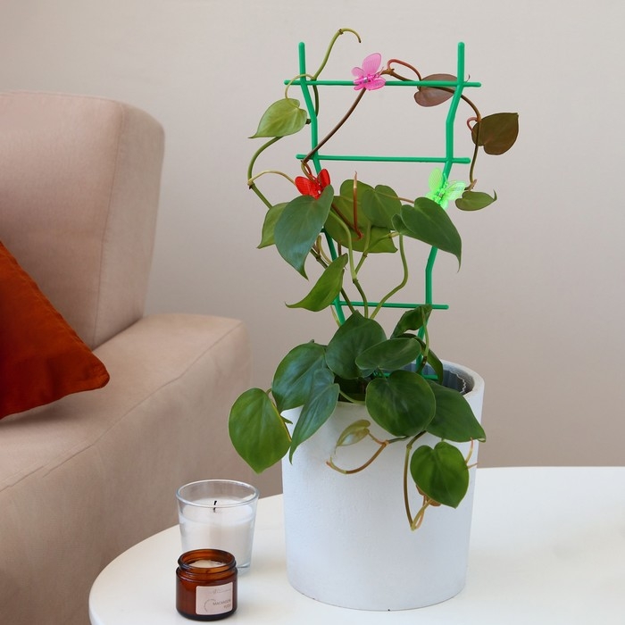 Клипса для растений &laquo;Бабочка&raquo;, набор 10 шт., МИКС