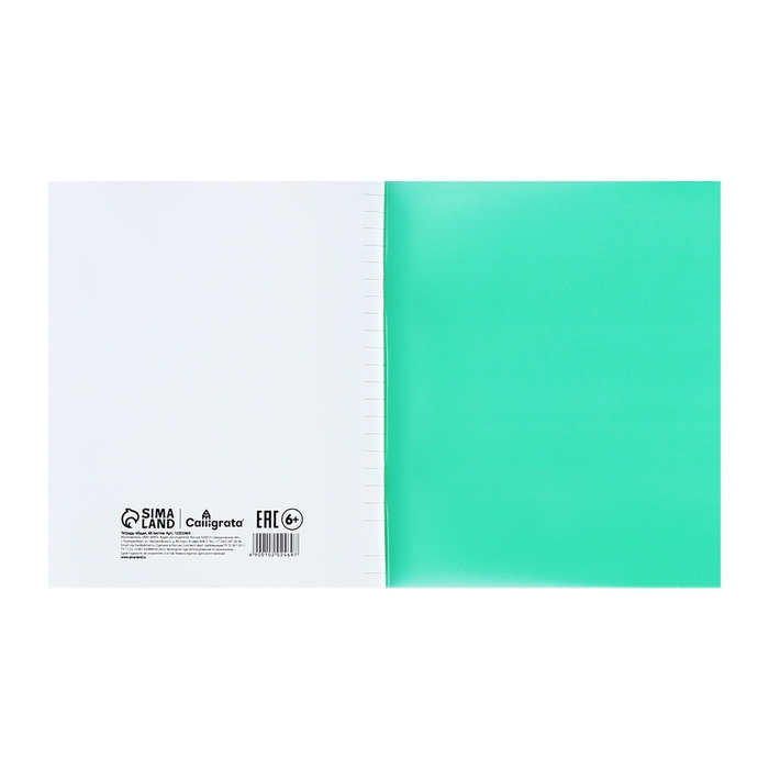 Тетрадь 48 листов в линию Calligrata Тетрадь 48 листов в линию Calligrata "Зелёная", пластиковая обложка, с алфавитом, блок офсет