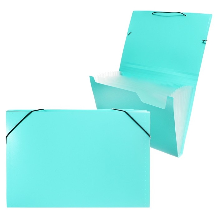 Папка картотека А4, Calligrata Папка картотека А4, Calligrata "Акварель", 13 отделений, пластиковая, 700 мкм, мятная, резинка чёрная