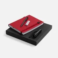 Набор Vivid Maxi, красный Набор Vivid Maxi, красный