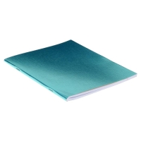 Тетрадь 48 листов в линейку METALLIC "МЯТА", обложка бумвинил, блок офсет Тетрадь 48 листов в линейку METALLIC "МЯТА", обложка бумвинил, блок офсет