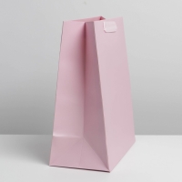 Пакет подарочный ламинированный, упаковка, «Розовый», MS 18 х 23 х 10 см Пакет подарочный ламинированный, упаковка, «Розовый», MS 18 х 23 х 10 см