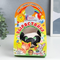 Растущий подарок травка Вырастайка "Панда" МИКС Растущий подарок травка Вырастайка "Панда" МИКС