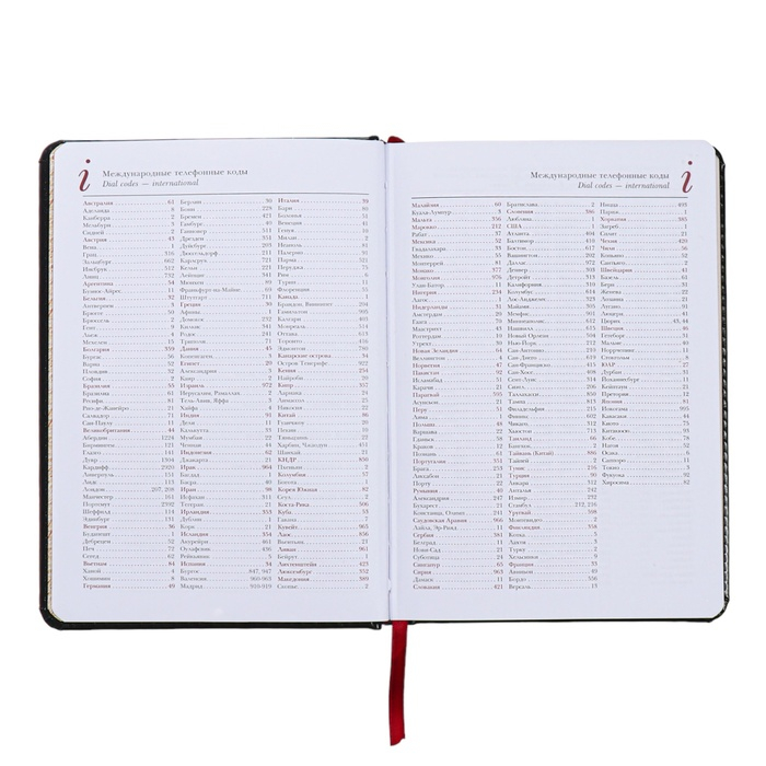 Ежедневник недатированный А5+, 136 листов Sidney Nebraska, твёрдая обложка, искусственная кожа, серебряный срез, чёрный