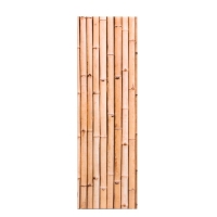 Ширма интерьерная (панель доборная) "Бамбук. Декор 5", 50 х 160 см (петли в комплекте)