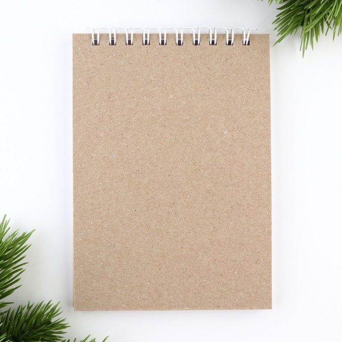 Новый год. Скетчбук А6, 40 л &laquo;Котики&raquo;