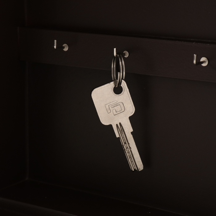 Ключница дерево 6 крючков "Растительный венок" кофейный 6х22х30 см