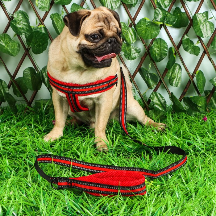 Комплект амуниции мягкий, светоотражающий, поводок 120 х 2 см, ОШ 25-72 см, красный