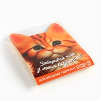 Шоколадные таблетки - дропсы &laquo;Заваривай чаёк&raquo;, 50 г.