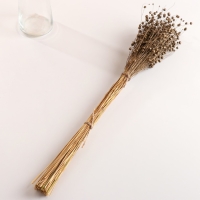 Набор сухоцветов "Лён-долгунец", банч длина 55-60 (+/- 6 см), бронза Набор сухоцветов "Лён-долгунец", банч длина 55-60 (+/- 6 см), бронза