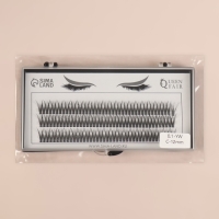 Набор накладных ресниц &laquo;Ласточкин хвост&raquo;, пучки, 12 мм, толщина 0,1 мм, изгиб С, 12 D