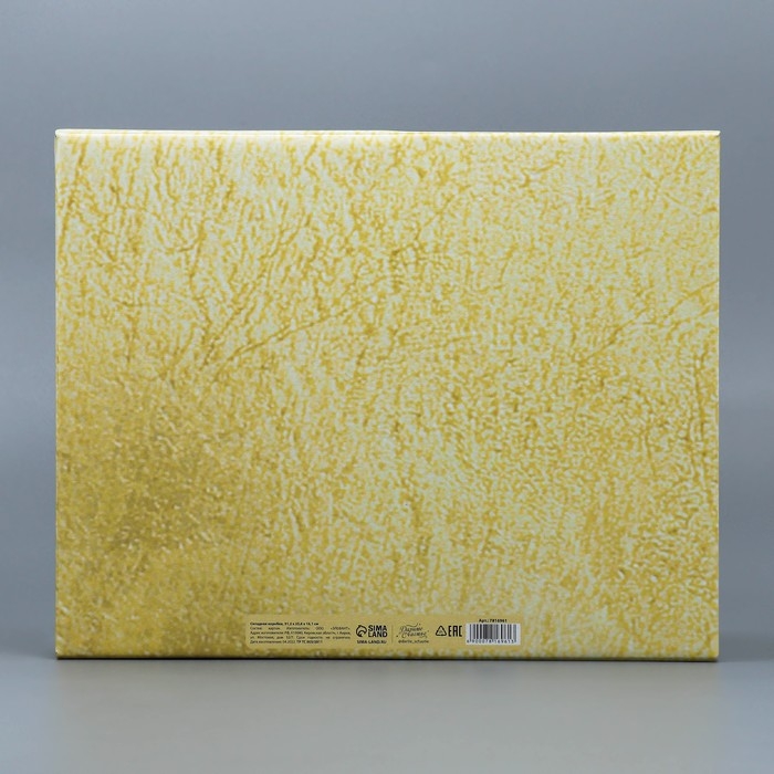 Коробка подарочная новогодняя складная &laquo;Фотографичная&raquo;, 31,2 х 25,6 х 16,1 см, Новый год