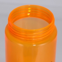 Бутылка для воды &laquo;Пушистый&raquo;, 600 мл