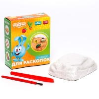 Набор для раскопок &laquo;Смешарики&raquo;