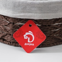 Корзина плетёная Доляна &laquo;Лира&raquo;, 34&times;24&times;10,5 см, цвет коричневый