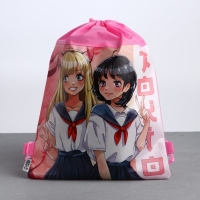 Мешок для обуви &laquo;Школьницы&raquo; полиэстер, размер 30 х 40 см