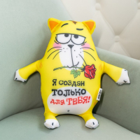Мягкая игрушка-антистресс &laquo;Я создан только для тебя!&raquo;, Котэ