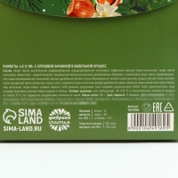 Новый год! Конфеты в коробке «Волшебных моментов», 150 г Новый год! Конфеты в коробке «Волшебных моментов», 150 г