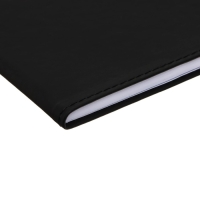 Дневник универсальный для 1-11 класса "Нервы", интегральная обложка, искусственная кожа, шелкография, ляссе, 80 г/м2 Дневник универсальный для 1-11 класса "Нервы", интегральная обложка, искусственная кожа, шелкография, ляссе, 80 г/м2