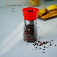 Мельница для специй Доляна «Модерн», 180 мл, 6,5×13 см, цвет красный Мельница для специй Доляна «Модерн», 180 мл, 6,5×13 см, цвет красный