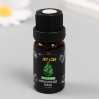 Ароматическое масло для свечей "Перечная мята" 10 мл 2,5х2,5х6,3 см Ароматическое масло для свечей "Перечная мята" 10 мл 2,5х2,5х6,3 см