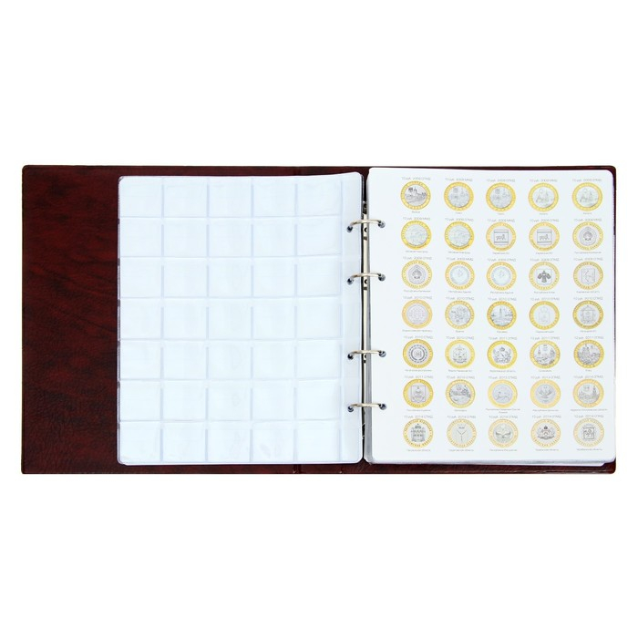 Альбом для монет на кольцах 225 х 265 мм, Альбом для монет на кольцах 225 х 265 мм, "Памятные монеты РФ", обложка искусственная кожа, 13 листов и 13 цветных картонных вставок, коричневый