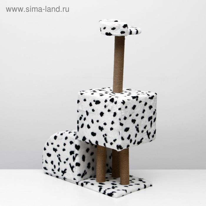 Домик для кошек с когтеточкой Домик для кошек с когтеточкой "Двухуровневый", 72 х 37 х 110 см, джут, далматинец