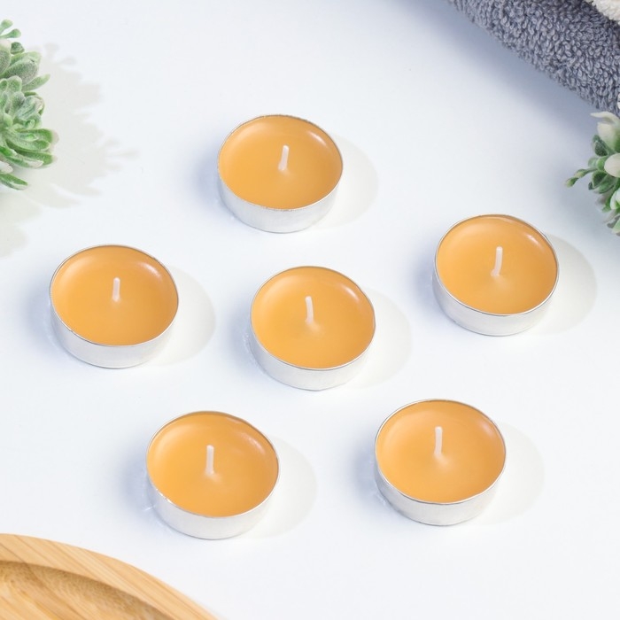 Набор чайных свечей ароматизированных Набор чайных свечей ароматизированных "Корица" в подарочной коробке, 6 шт