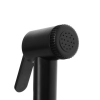 Гигиеническая лейка ZEIN Z4159, 2 режима, пластик, цвет черный Гигиеническая лейка ZEIN Z4159, 2 режима, пластик, цвет черный