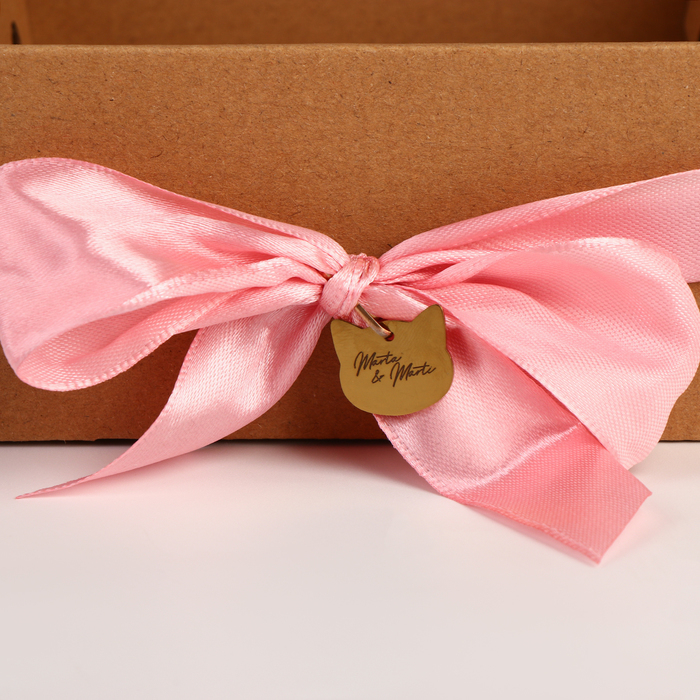 Мягкая игрушка &laquo;Милашка Marta&raquo;, кошечка, 25 см