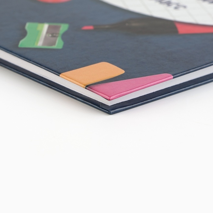 Дневник школьный 5-11 класс, в твердой обложке, 48 л. &laquo;Школьные принадлежности&raquo;