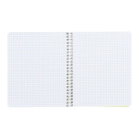 Тетрадь на гребне A5 48 листов в клетку Calligrata Салатовая, пластиковая обложка, блок офсет