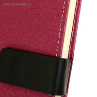 Органайзер А5, с хлястиком, 120 листов в линейку, обложка ПВХ, МИКС Органайзер А5, с хлястиком, 120 листов в линейку, обложка ПВХ, МИКС