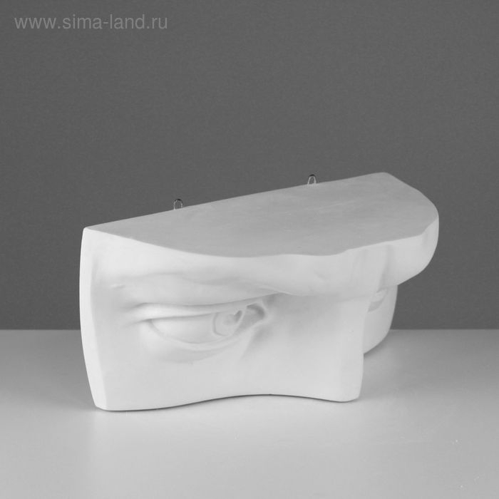 Гипсовая фигура глаза Давида, 22 х 45 х 18 см Гипсовая фигура глаза Давида, 22 х 45 х 18 см