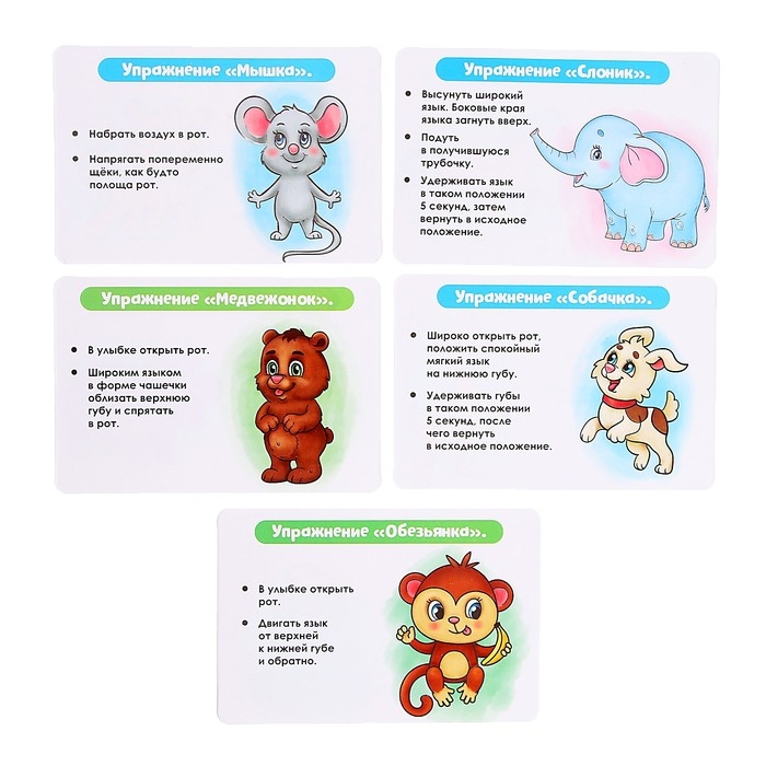 Набор для развития речи &laquo;Зарядка в зоопарке&raquo;, 3+, МИКС