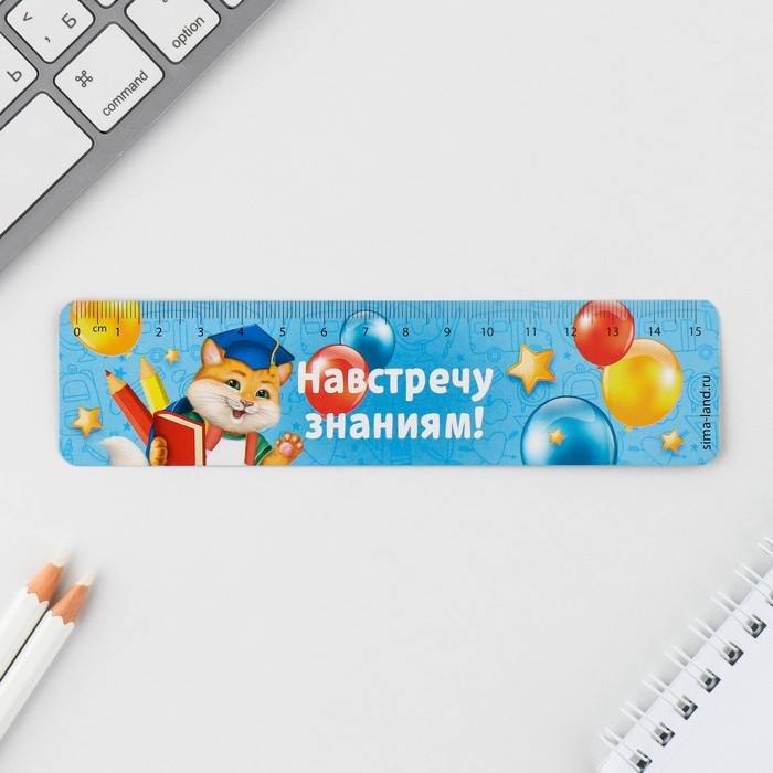 Подарочный набор на выпускной в папке 7 предметов &laquo;ВЫПУСКНИКА детского сада&raquo;