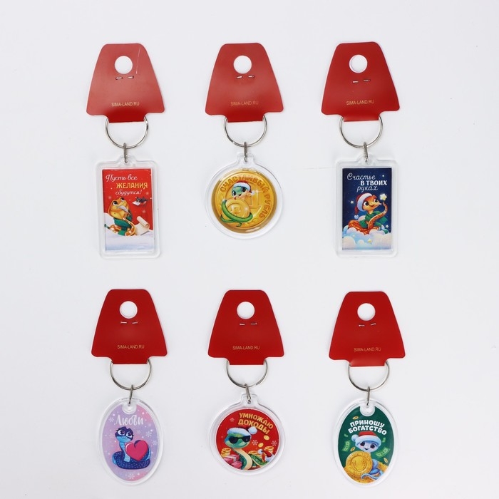 Брелок новогодний, для ключей &laquo;Счастье в твоих руках&raquo; микс из 6 шт