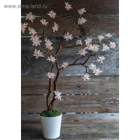 Бумага гофрированная, 948 "Бледно-розовая (камелия)", 50 см х 2,5 м