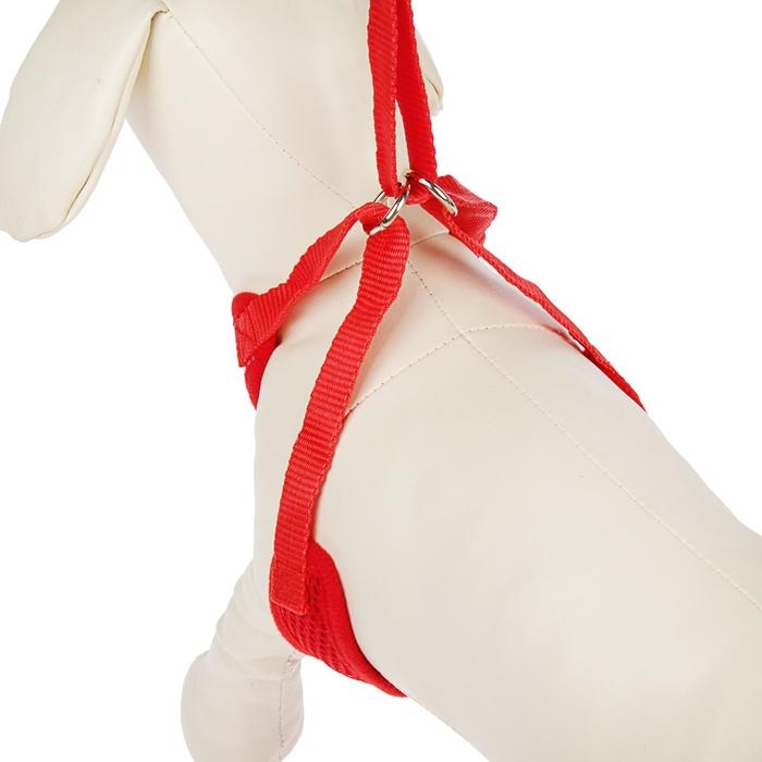Шлейка регулируемая дышащая, светоотражающая, размер S (ОШ 14-30; ОГ 20-40 см), красная Шлейка регулируемая дышащая, светоотражающая, размер S (ОШ 14-30; ОГ 20-40 см), красная