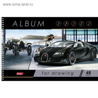 Альбом для рисования А4, 48 листов на гребне "Ассорти", обложка мелованный картон, блок 100 г/м2, перфорация на отрыв, МИКС Альбом для рисования А4, 48 листов на гребне "Ассорти", обложка мелованный картон, блок 100 г/м2, перфорация на отрыв, МИКС