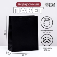 Пакет ламинированный &laquo;Черный&raquo;, M 26 &times; 32 &times; 12 см