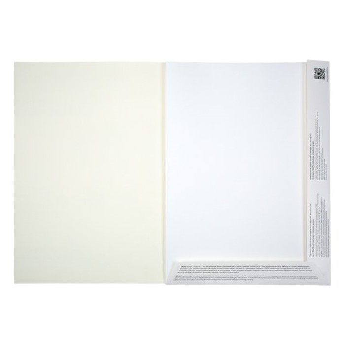 Бумага для акварели в папке А2, ЗХК "Ладога", 12 листов, 200 г/м2, среднезернистая, (252781934)