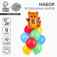 Набор воздушных шаров &laquo;Котик-волшебник&raquo;, фольга, латекс, 9 шт.