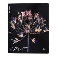 Тетрадь 96 листов в клетку, ErichKrause X-Ray Art, обложка мелованный картон, голографическая ламинация, блок офсет 100% белизна, МИКС Тетрадь 96 листов в клетку, ErichKrause X-Ray Art, обложка мелованный картон, голографическая ламинация, блок офсет 100% белизна, МИКС