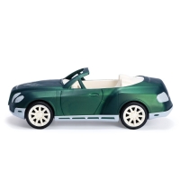 Машина &laquo;Кабриолет Шейх&raquo;