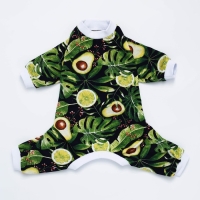 Комбинезон для животных &laquo;&lrm;Авокадо&raquo;&lrm;, XS (ДС 27, ОШ 23-27, ОГ 41-45)