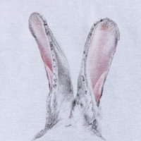 Постельное бельё Этель 1.5 сп &laquo;Кролик&raquo; 143х215 см, 150х214 см, 70х70 см - 2 шт, бязь