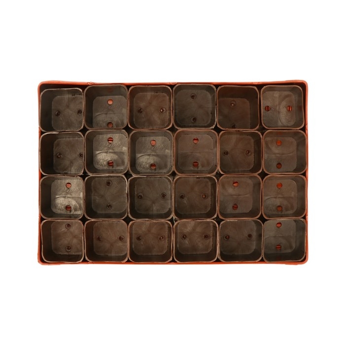 Набор для рассады: стаканы по 70 мл (24 шт.), поддон 29,5 &times; 20 см, МИКС